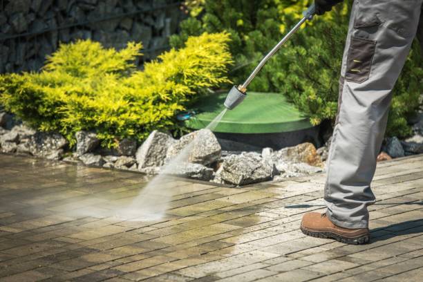 Best Roof Washing  in Dalzell, SC