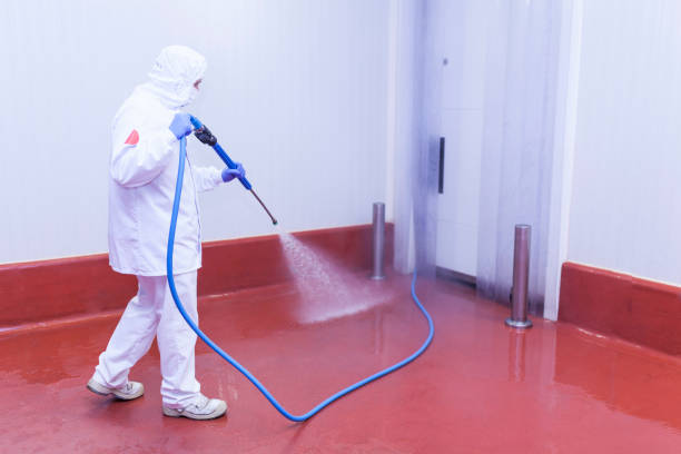 Best Factory Floor Cleaning  in Dalzell, SC